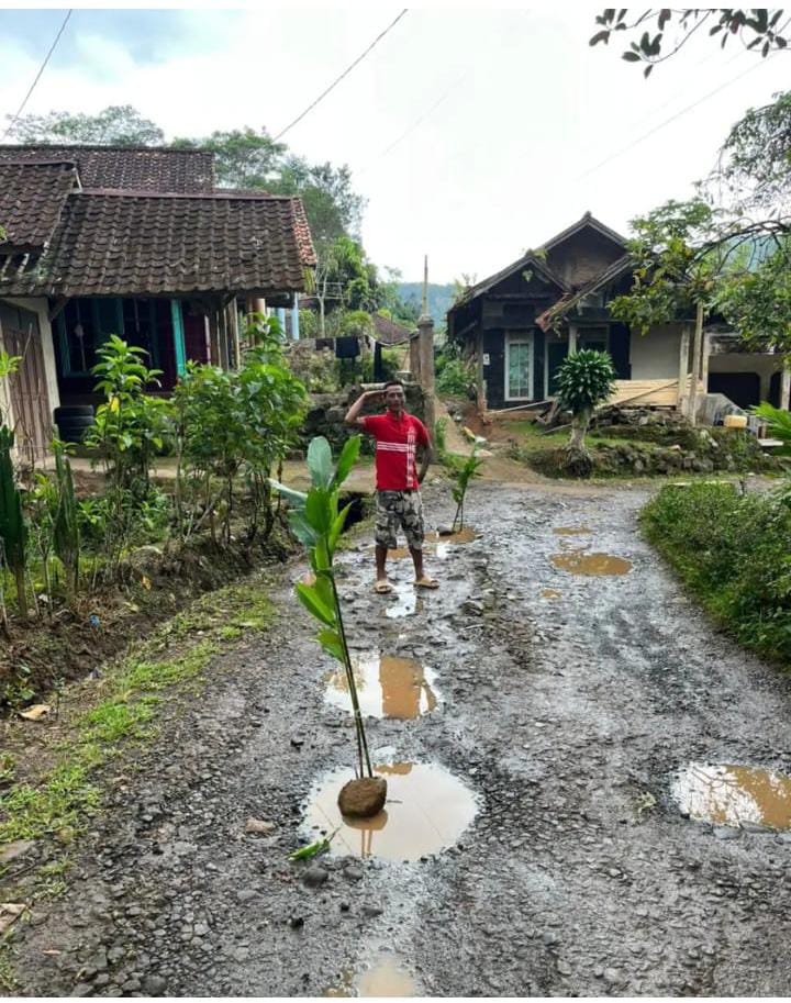 Jalan Rusak Dua Tahun, Warga Pilih Tanam Kapulaga